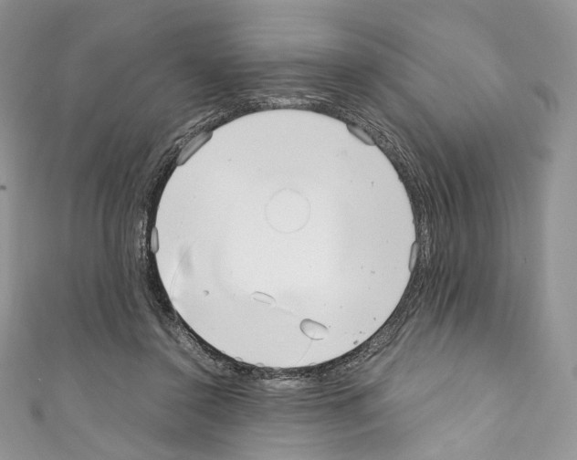 X0000110770356200907271209