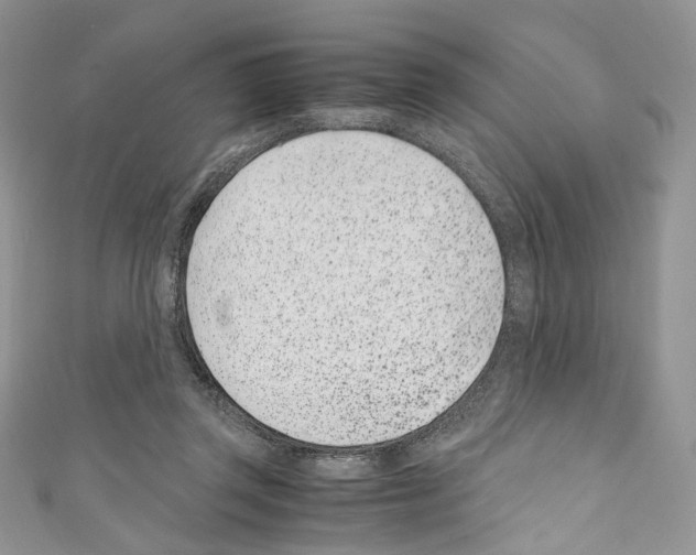 X0000110770357200907271209