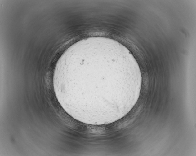 X0000110770359200907271209