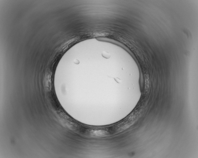 X0000110770360200907271209