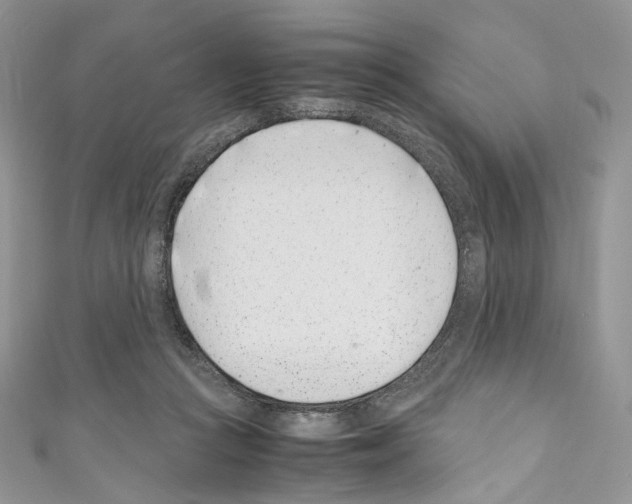 X0000110770361200907271209