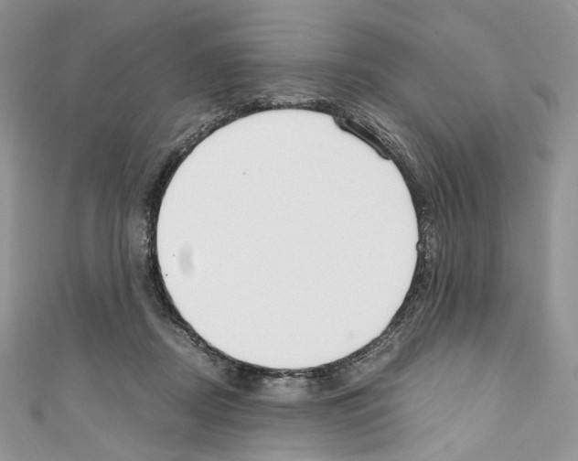 X0000110770362200907271209