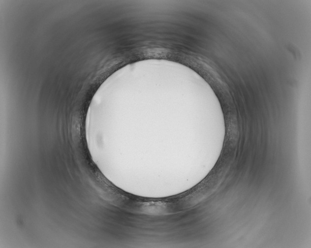 X0000110770363200907271209