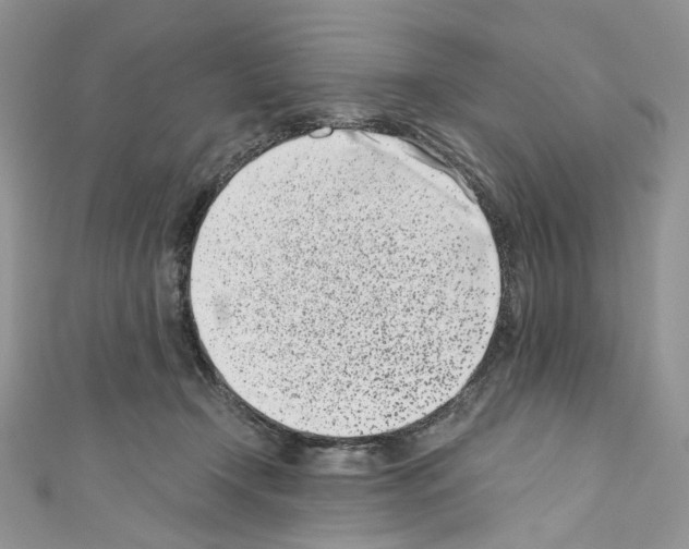 X0000110770366200907271209