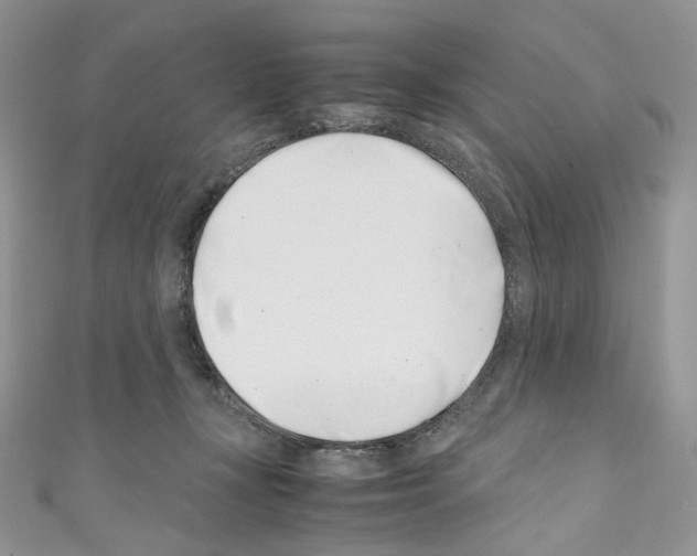 X0000110770367200907271209