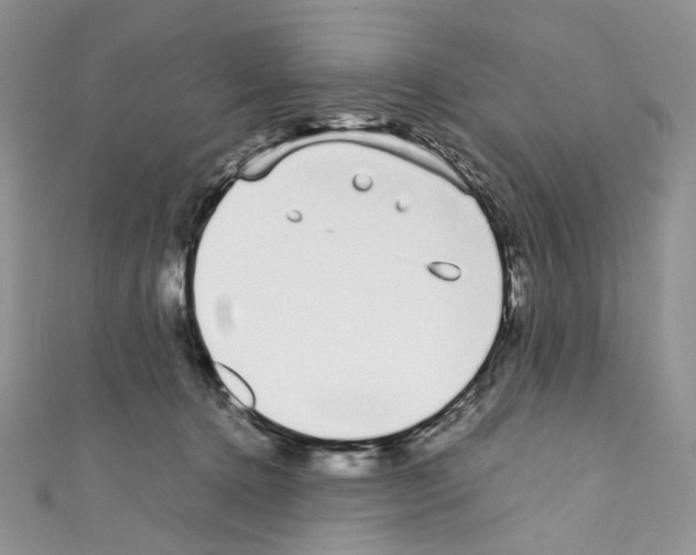 X0000110770368200907271209