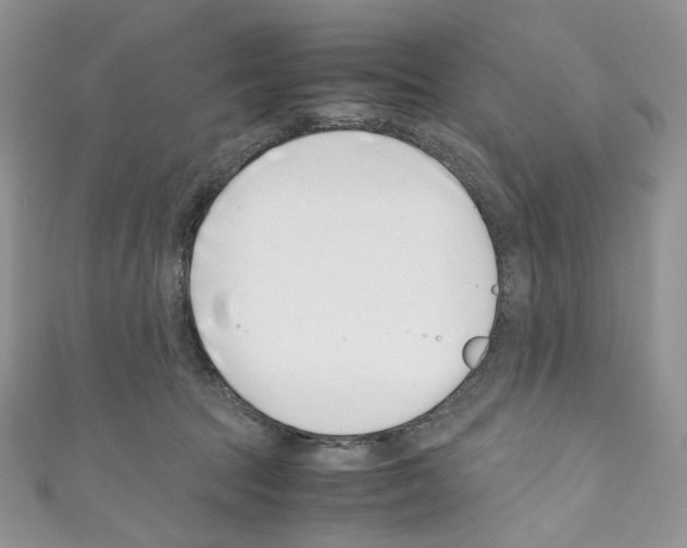 X0000110770369200907271209