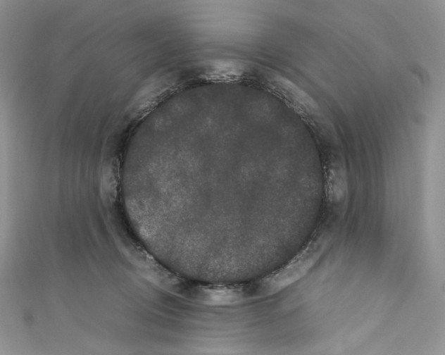 X0000110770370200907271209