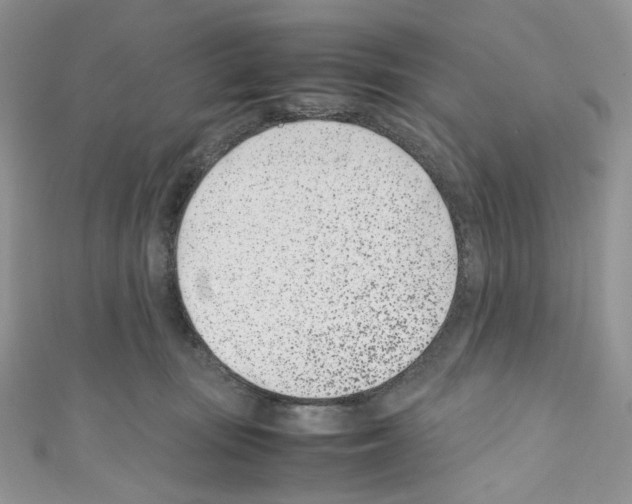 X0000110770371200907271209