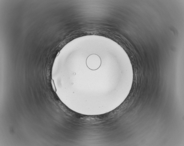 X0000110770372200907271209