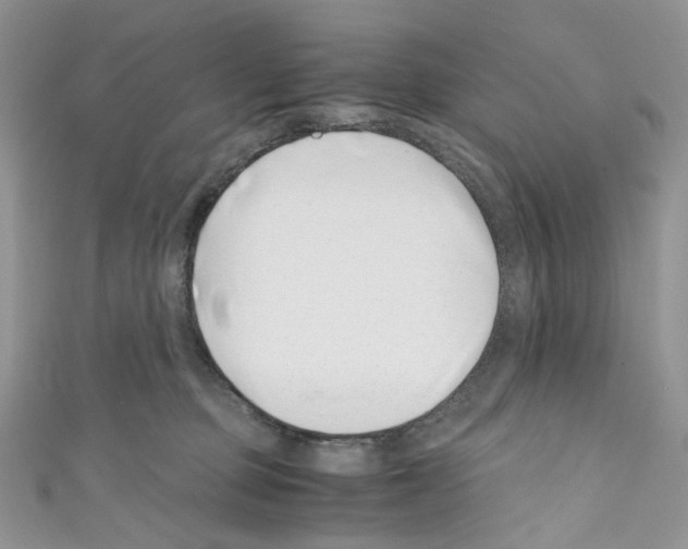 X0000110770373200907271209