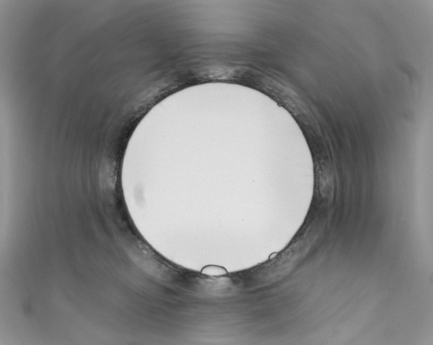 X0000110770374200907271209