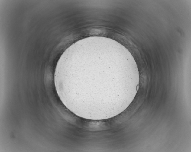 X0000110770375200907271209