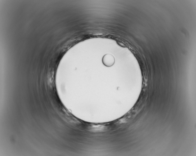 X0000110770376200907271209