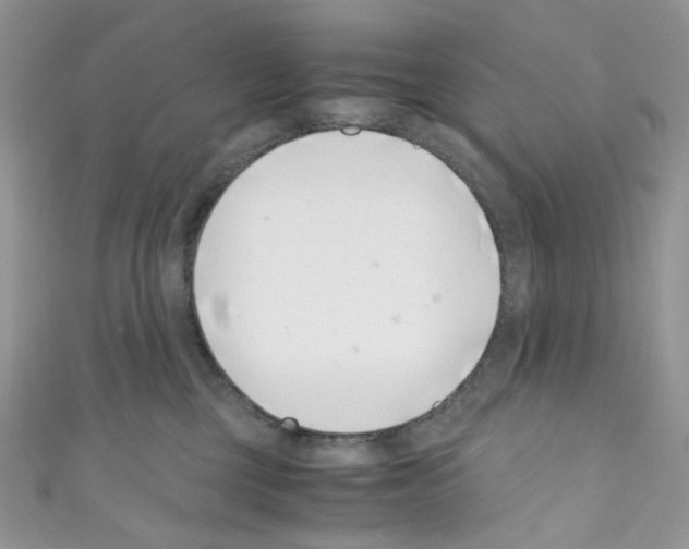 X0000110770377200907271209