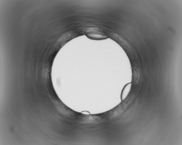 X0000110770379200907271209