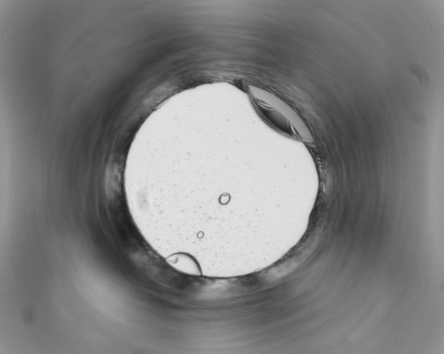 X0000110770382200907271209