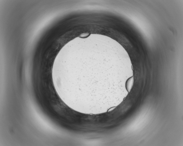 X0000110770383200907271209