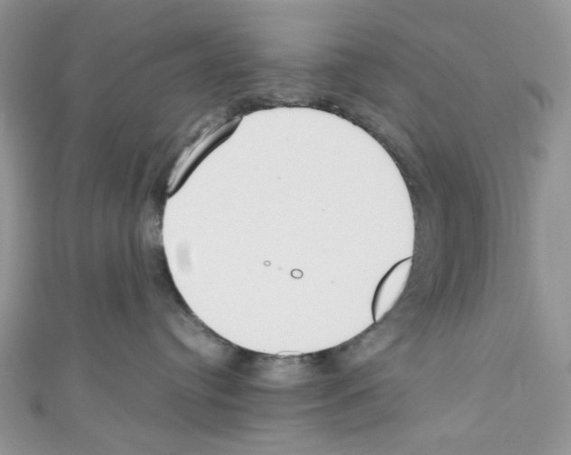 X0000110770384200907271209