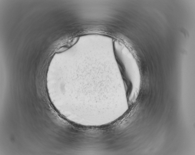 X0000110770385200907271209