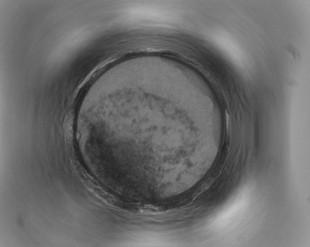 X0000110770387200907271209