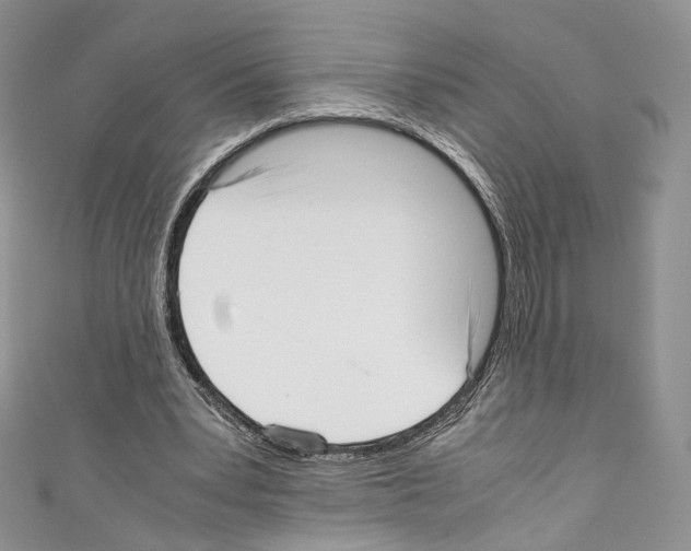 X0000110770391200907271209