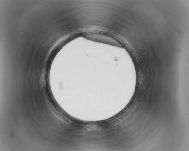 X0000110770392200907271209