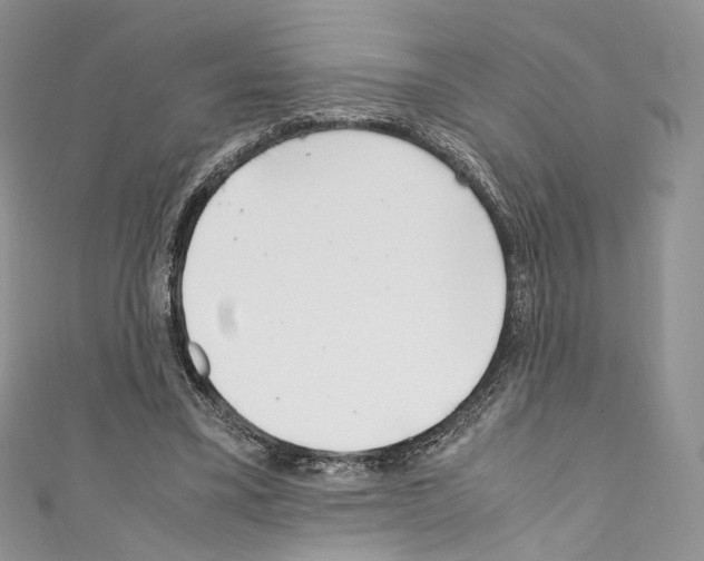 X0000110770395200907271209