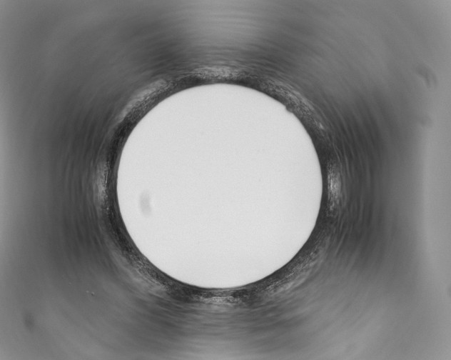 X0000110770396200907271209