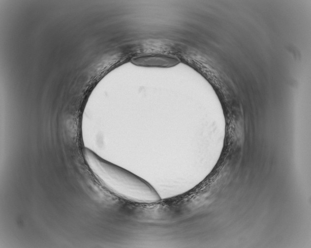 X0000110770401200907271208