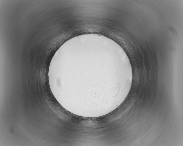 X0000110770402200907271208