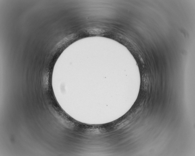 X0000110770404200907271208