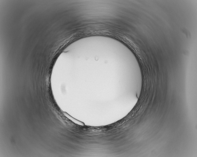 X0000110770405200907271208