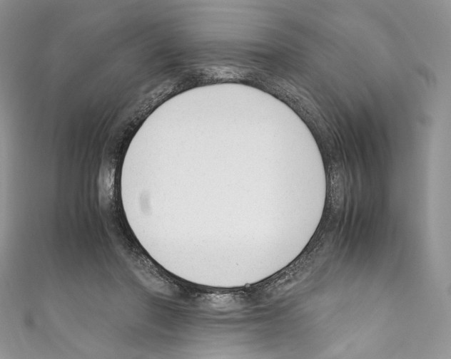 X0000110770406200907271208