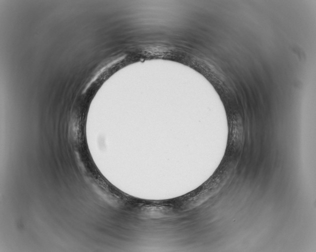 X0000110770408200907271208