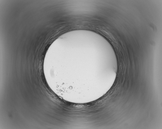 X0000110770409200907271208