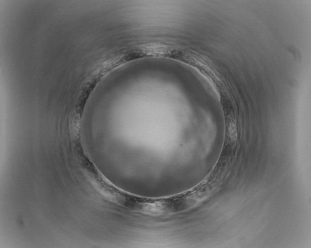 X0000110770411200907271208