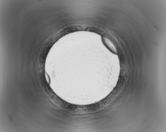 X0000110770413200907271208