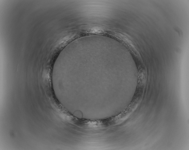 X0000110770415200907271208