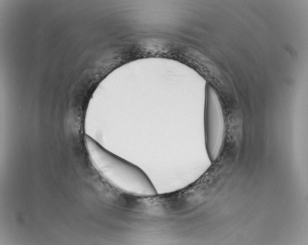 X0000110770417200907271208