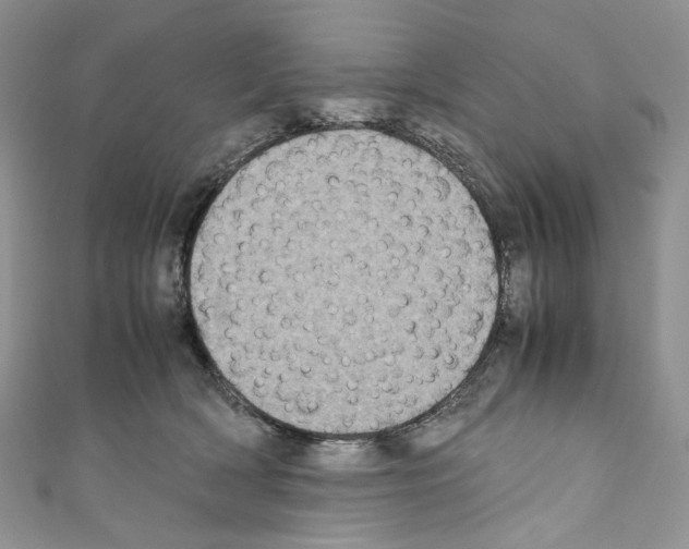 X0000110770418200907271208