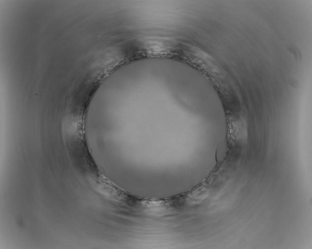 X0000110770419200907271208