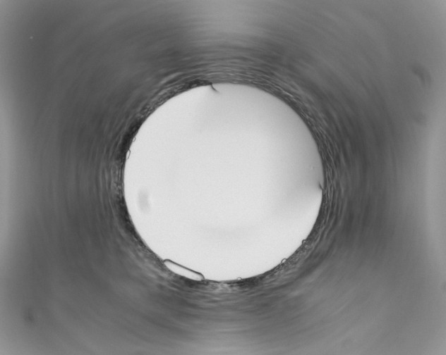 X0000110770421200907271208