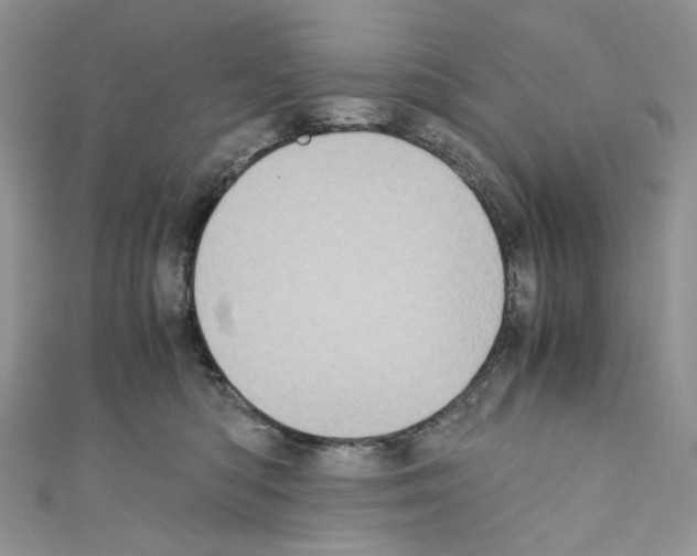 X0000110770422200907271208