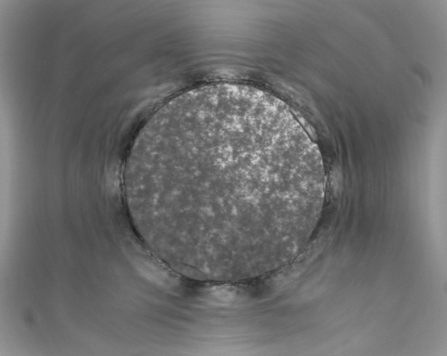 X0000110770423200907271208