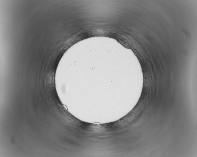 X0000110770425200907271208