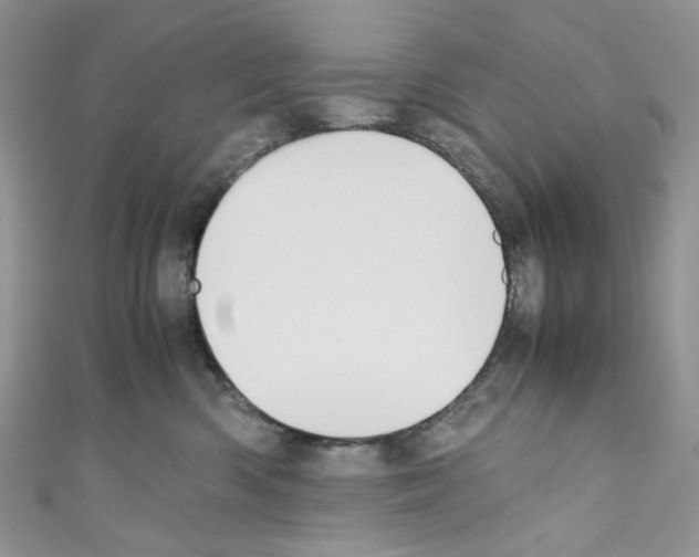 X0000110770426200907271208