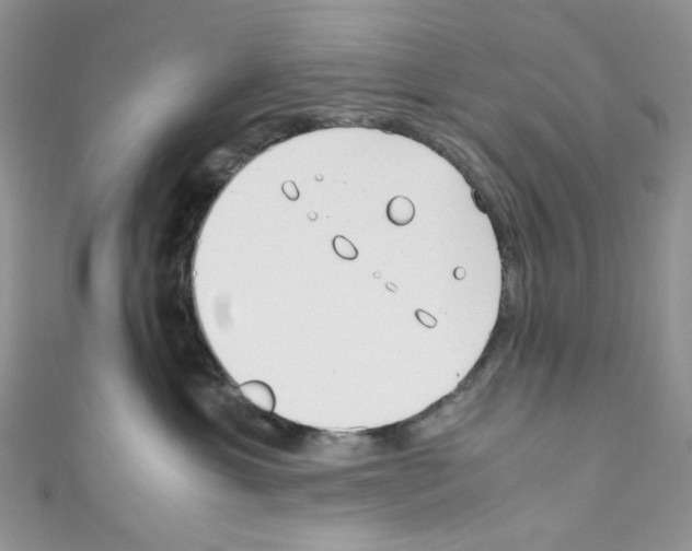 X0000110770429200907271208