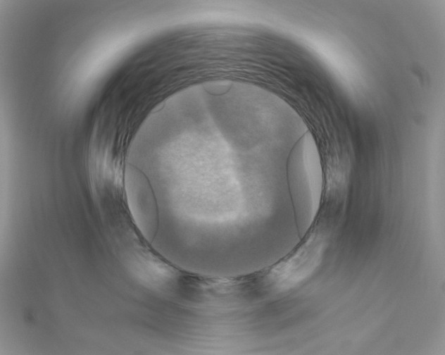 X0000110770431200907271208