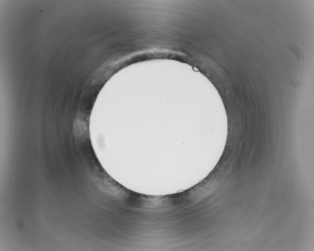 X0000110770432200907271208